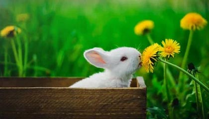 英超激烈争夺，豪门战火升腾