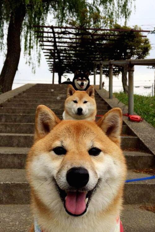 【高手对决】丁俊晖VS奥沙利文,谁的战术更胜一筹?,丁俊晖和奥沙利文哪个厉害