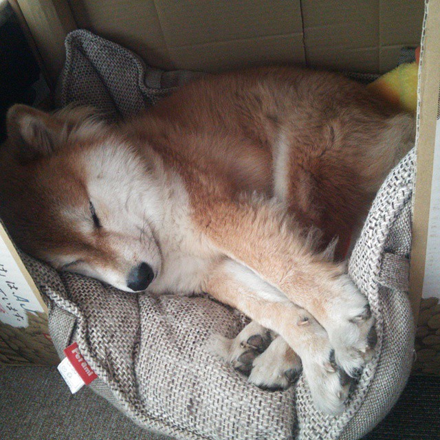 从业者访谈:台球运动发展的挑战与机遇,台球发展现状