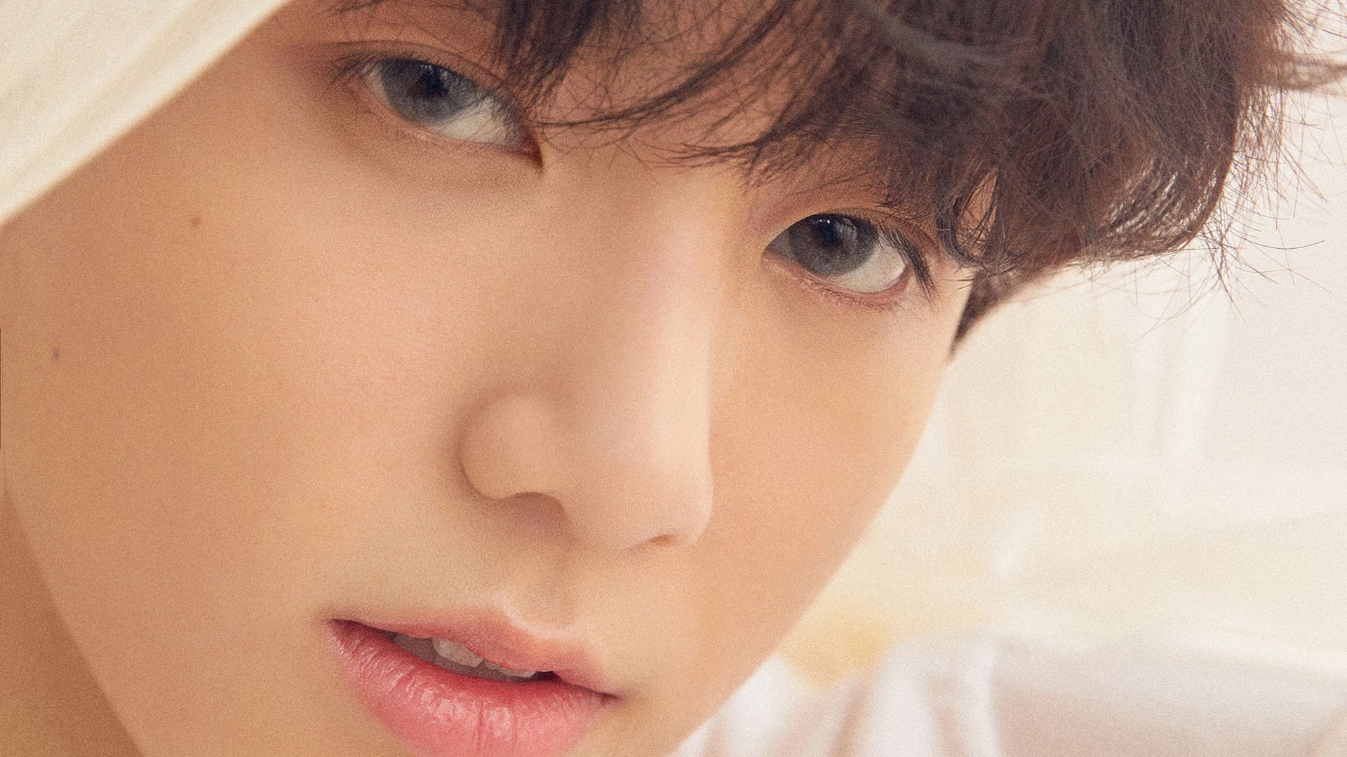 全明星赛：明星阵容“天团”之争，谁才是真正的焦点？，全明星赛事规则