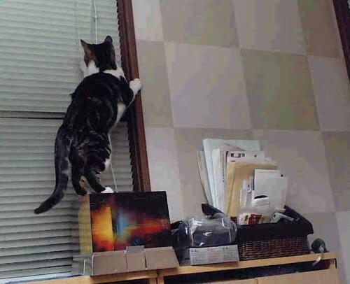 电竞主题公园落成，打造沉浸式体验空间，电竞馆即将完工