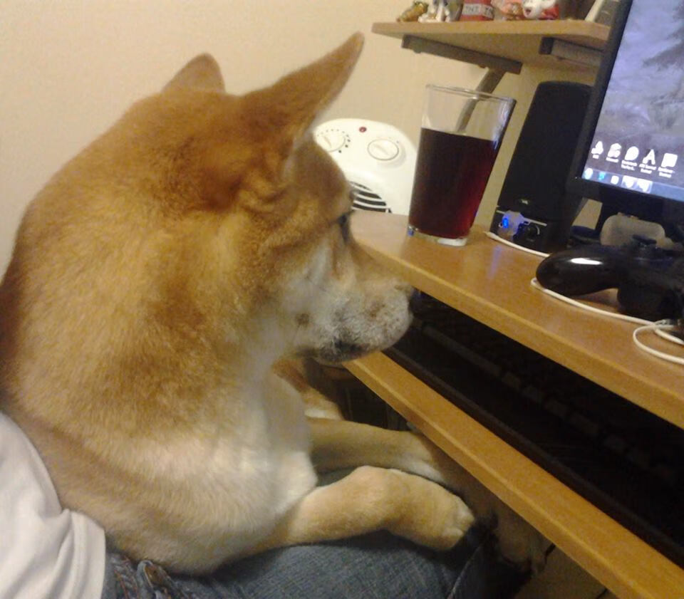 周泓余在女子围棋名人战中表现出色，晋级8强，中国女子围棋名人战周泓余