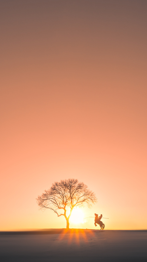 摩洛哥国家队备战非洲杯，目标冲击冠军，非洲国家摩洛哥简介