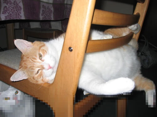 五大联赛中场争夺激烈程度是否决定观赏性高低,五大联赛场地大小