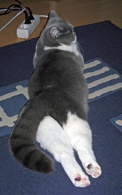 维拉控制比赛节奏减少不必要犯规，维拉主q