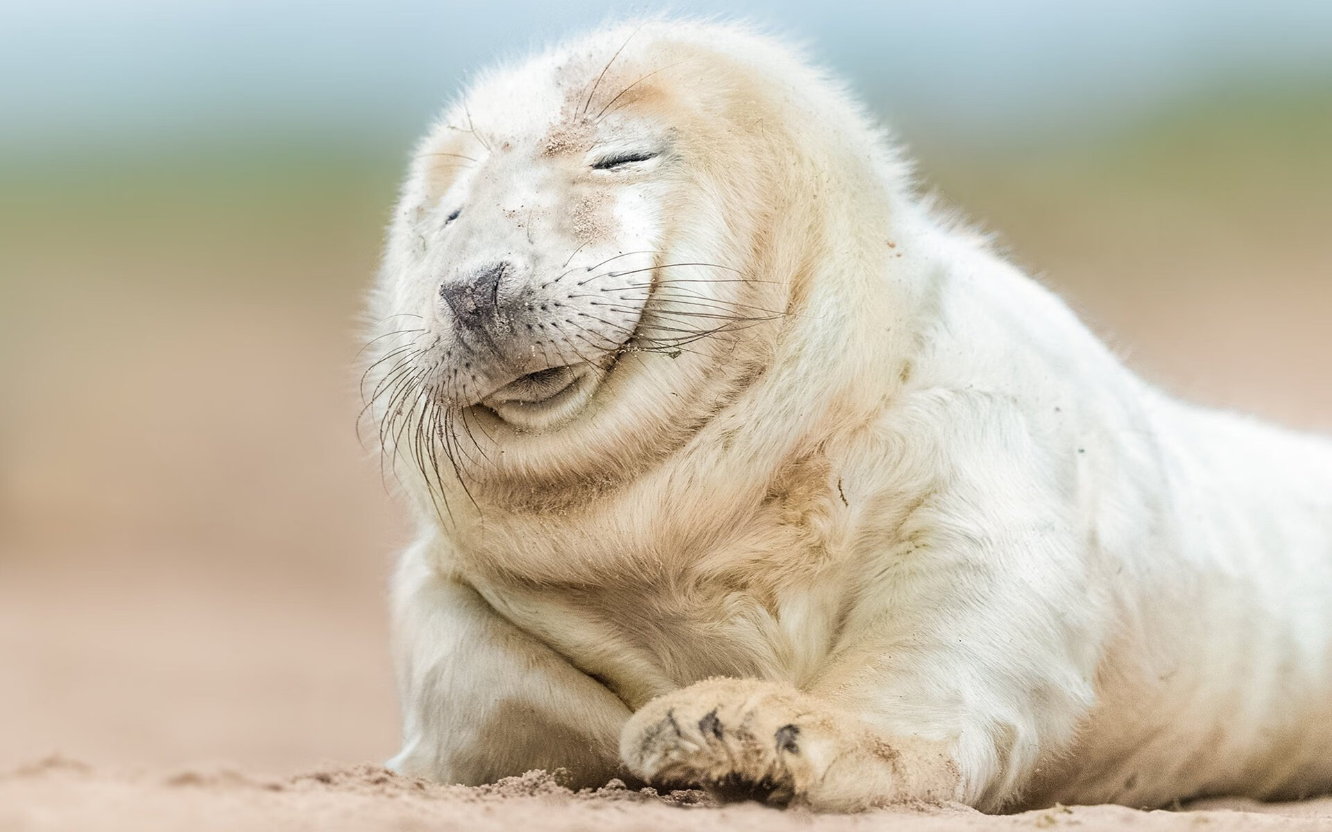 新闻中心通告体育设施开放时间变化说明,关于开放体育场馆的通知