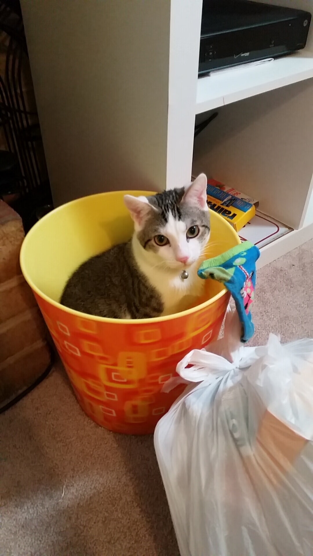 欧洲杯逆转传奇：战术调整创造奇迹！，欧洲杯回传失误