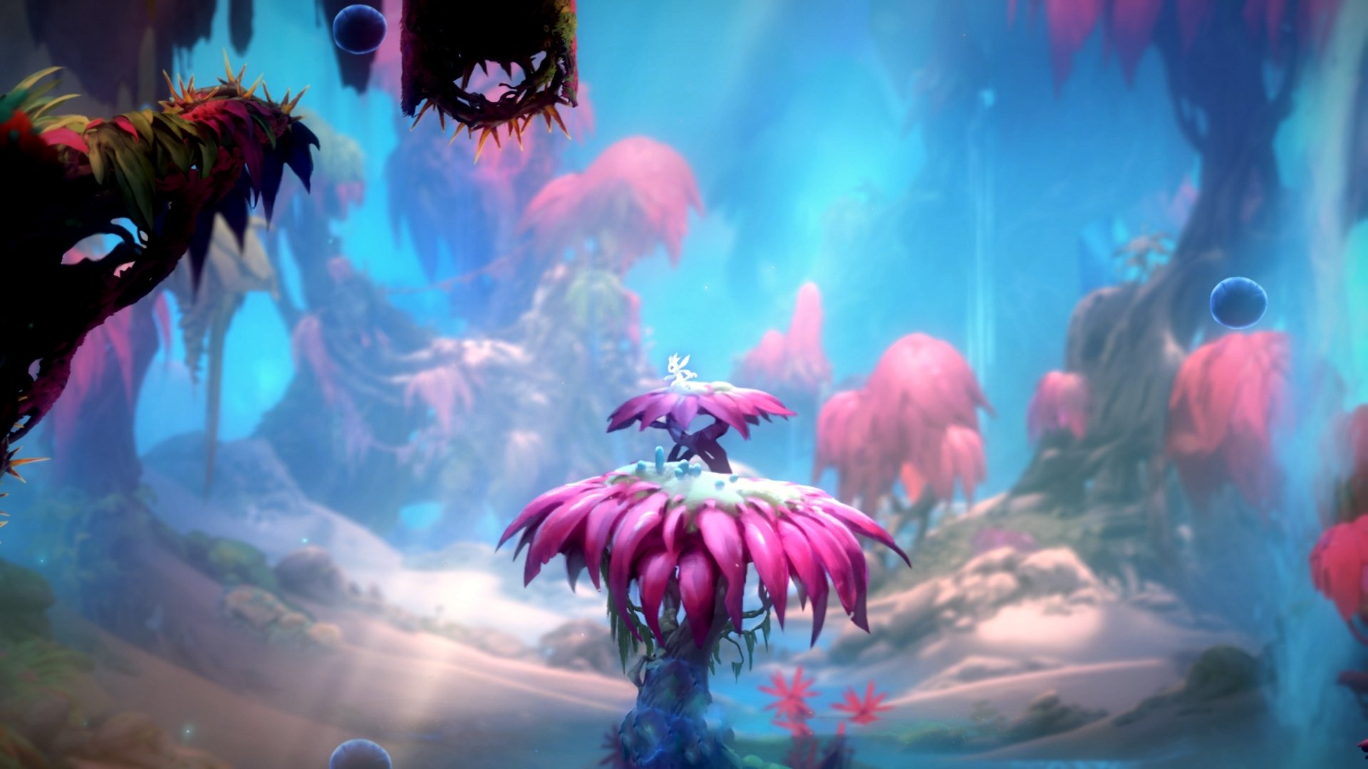 谷爱凌新项目尝试跳跃动作成功,谷爱凌大跳台收获铜牌