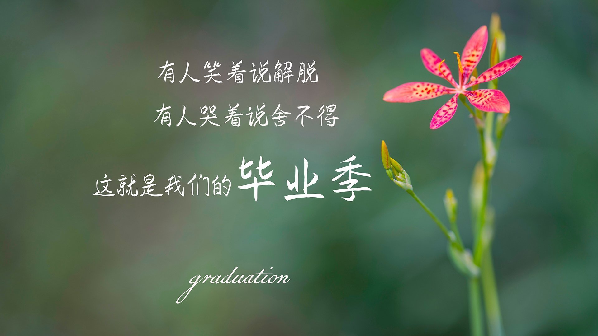 鹈鹕拍摄宣传照球员造型引发网友热烈讨论,鹈鹕正面照