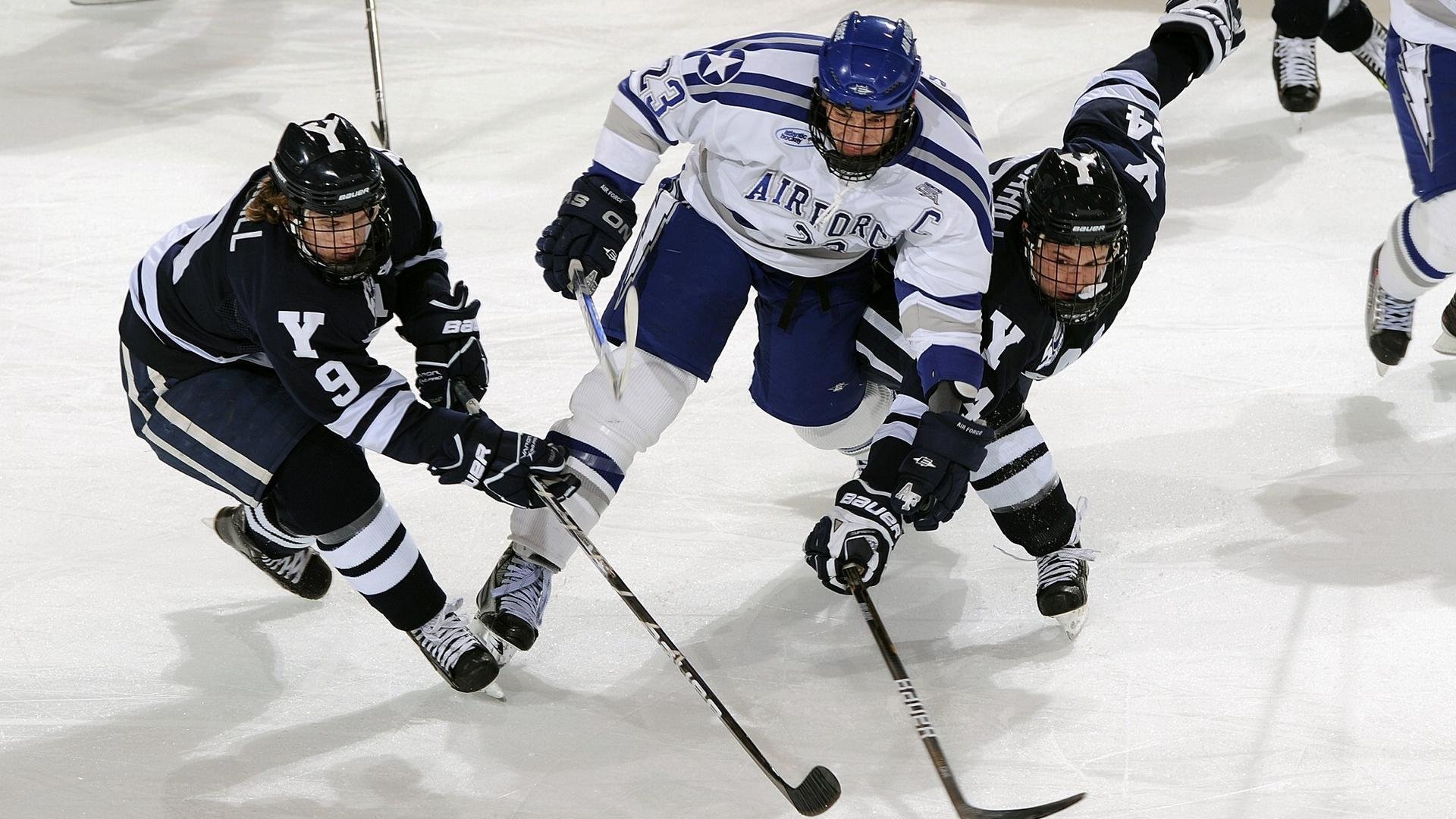 _城市空中桥奔跑：创新运动新体验_，空中路桥